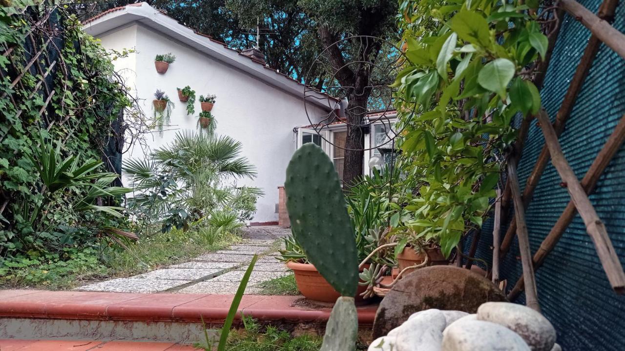 Villetta La Gabbianella Livorno Bagian luar foto