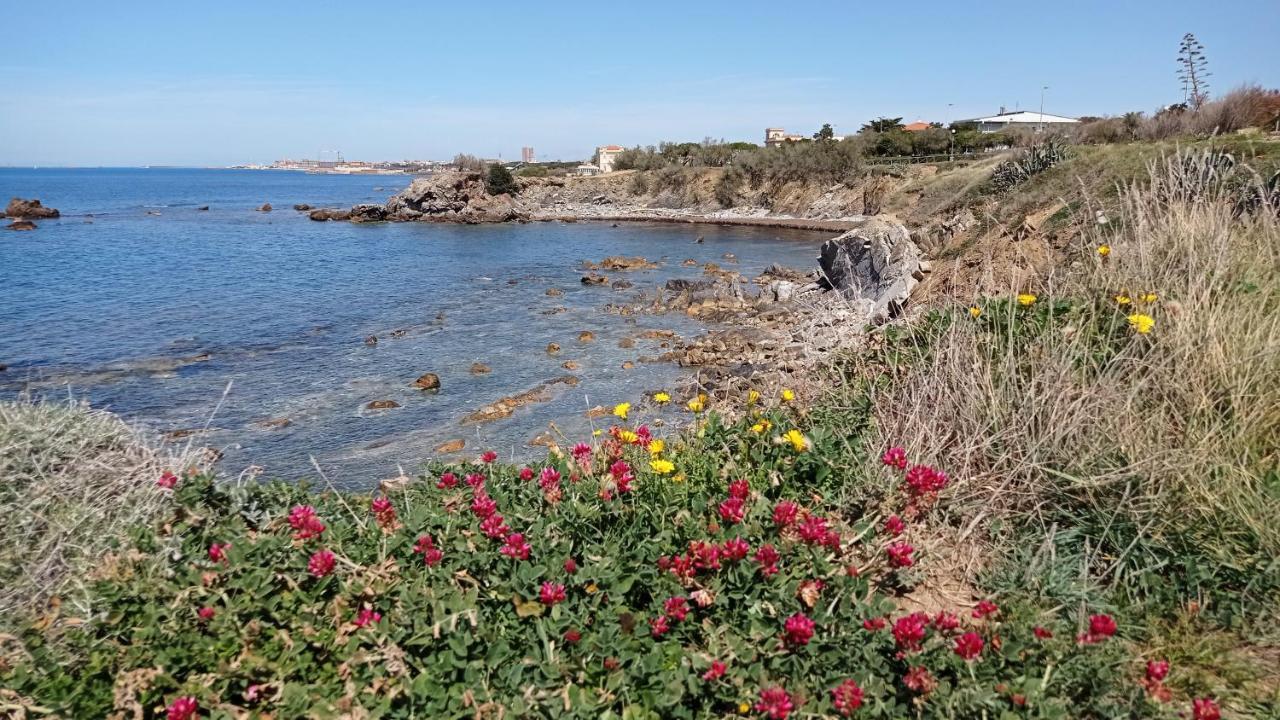 Villetta La Gabbianella Livorno Bagian luar foto